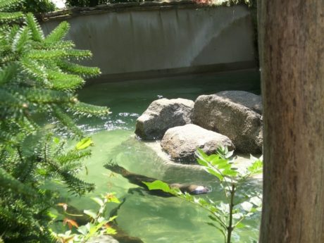 Foto: Martina Mádlová, JenProCestovatele.cz