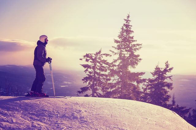 Zdroj: Shutterstock.com