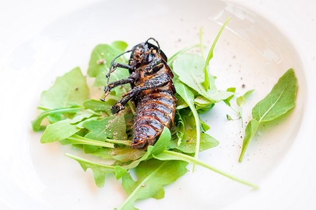 Fresh Festival Praha 2015