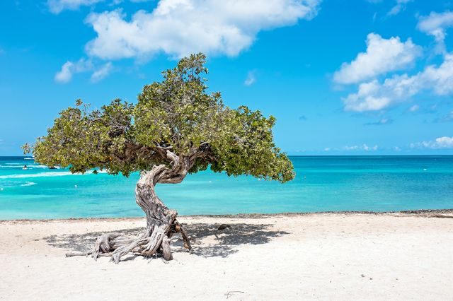 Aruba
