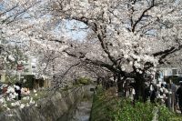 Tetsugagu no michi Kyoto