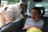 Nejhorší fotografie z dovolené