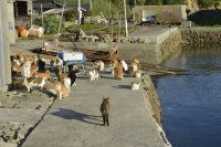 Podivná místa ve světě