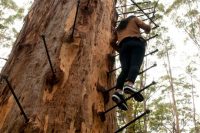 Nejděsivější atrakce