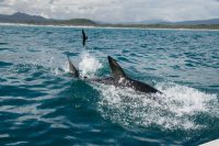 Nejnebezpečnější pláže na světě