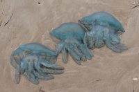 Nejnebezpečnější pláže na světě