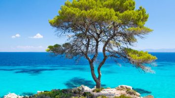 Chalkidiki Řecko