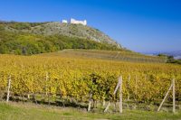 Co navštívit na Jižní Moravě