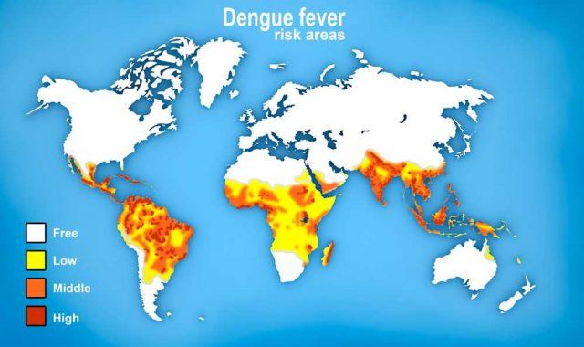 Mapa výskytu horečky dengue