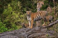 Nejkrásnější národní parky