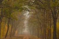 Nejkrásnější národní parky