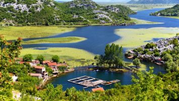 Jezero Skadar