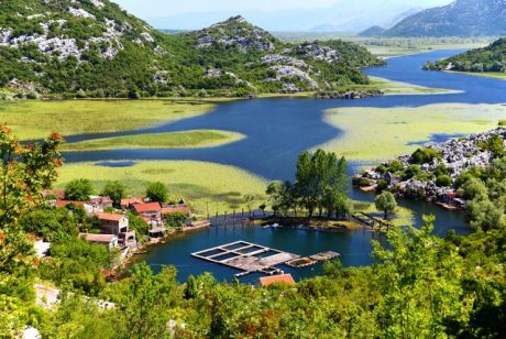 Jezero Skadar