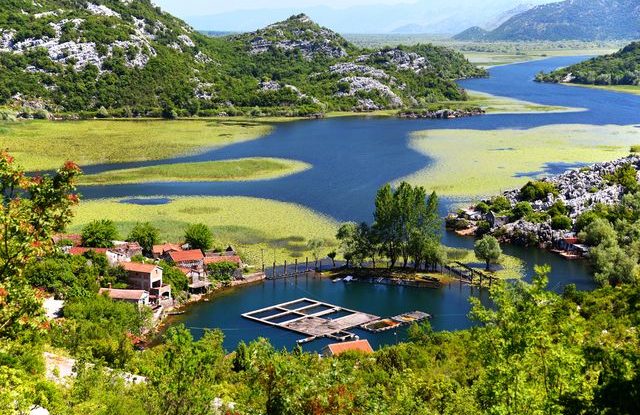 Jezero Skadar