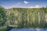 Kam na výlet na Šumavu