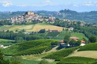 Nejlepší regiony 2019