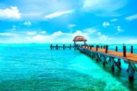 Kam za teplem v zimě