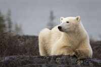 Nejlepší regiony 2019