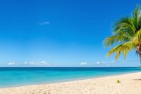 Kam za teplem v zimě