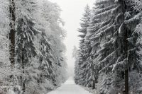 Kam na běžky v ČR