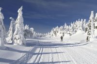 Kam na běžky v ČR