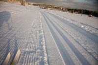 Kam na běžky v ČR