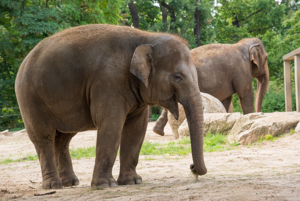 Kde je největší zoo?