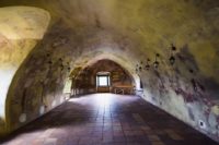 Hrad Střekov v Ústí nad Labem