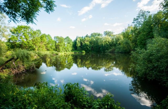 rybník v jižních Čechách