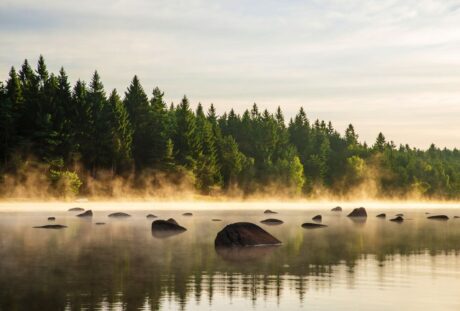 Národní park Česká Kanada