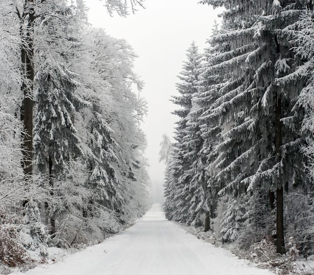 Kam na běžky v ČR