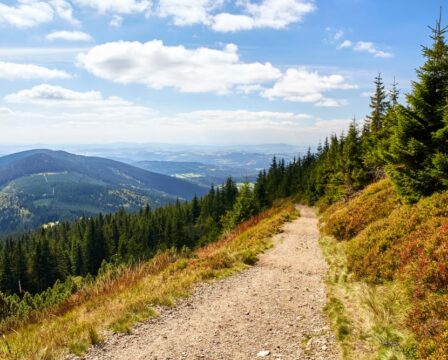 Výlety v Rokytnici nad Jizerou