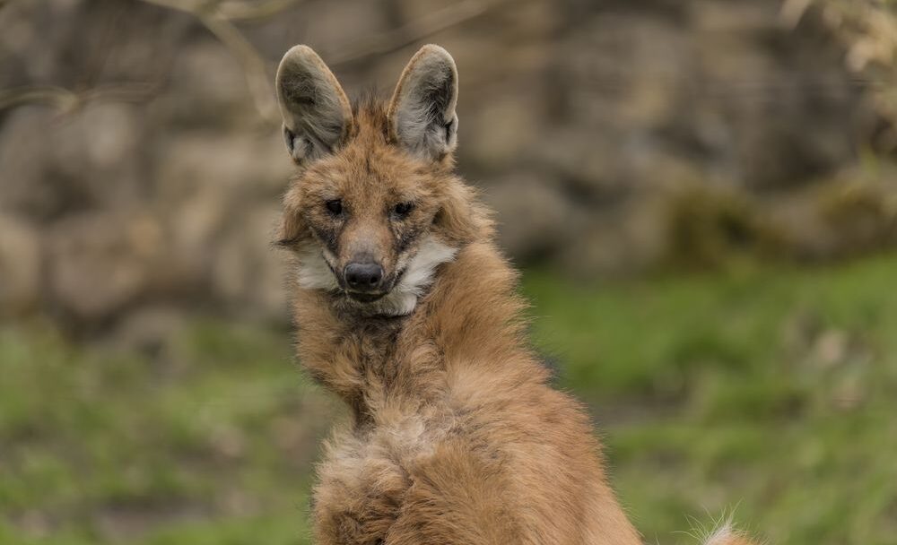 Zoo Děčín