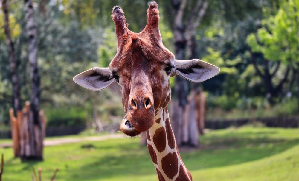 Zoo Ústí nad Labem