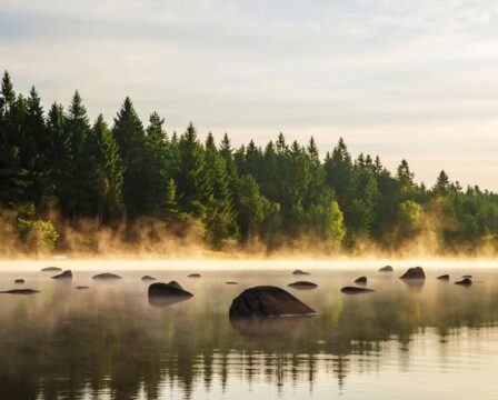 Národní park Česká Kanada