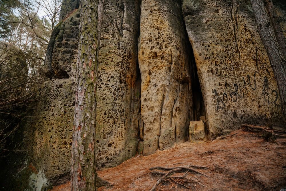 Cinibulkova naučná stezka