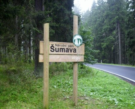 šumava