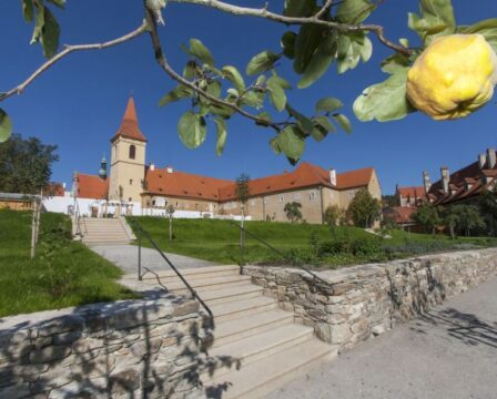 Kláštery Český Krumlov, výstava