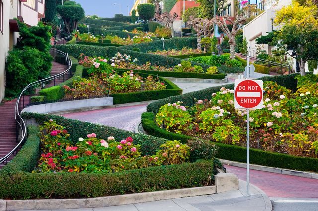 Lombard Street San Francisco