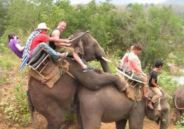 Nejhorší fotografie z dovolené