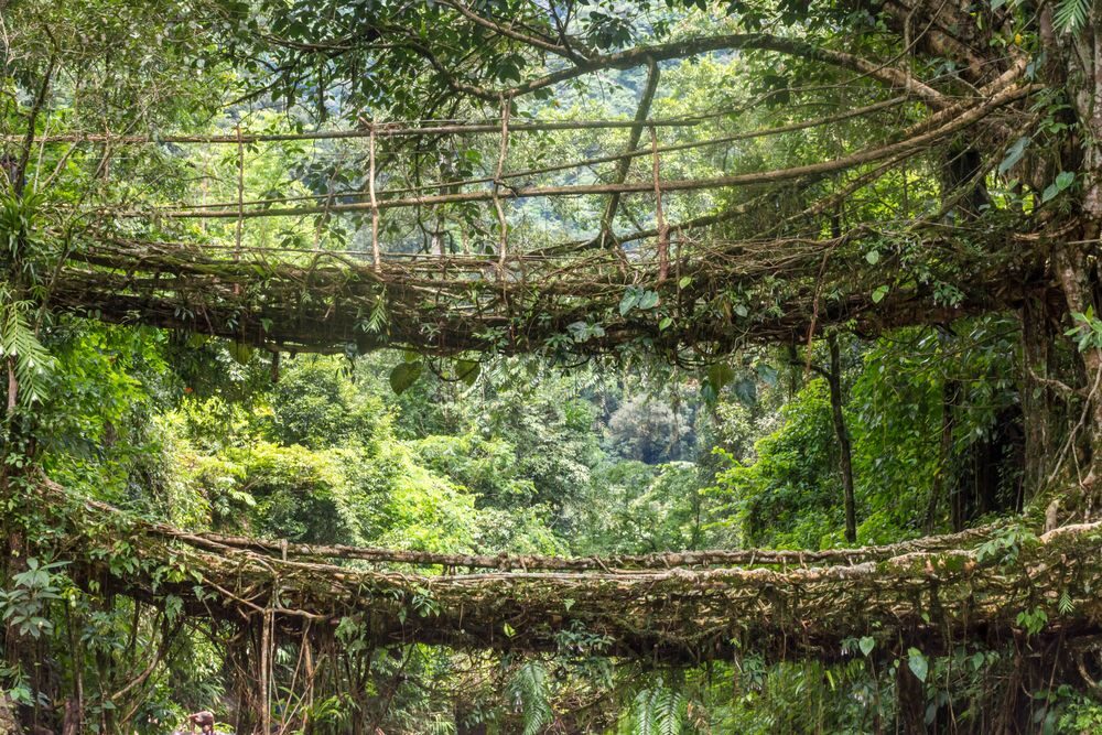 10 nejzajímavějších mostů na světě