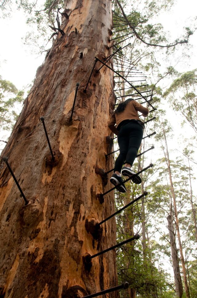 Nejděsivější atrakce