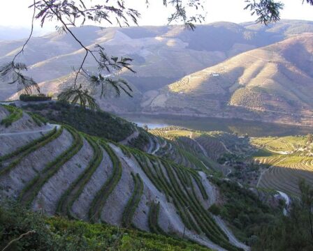 FOTO: Douro, řeka v Portugalsku