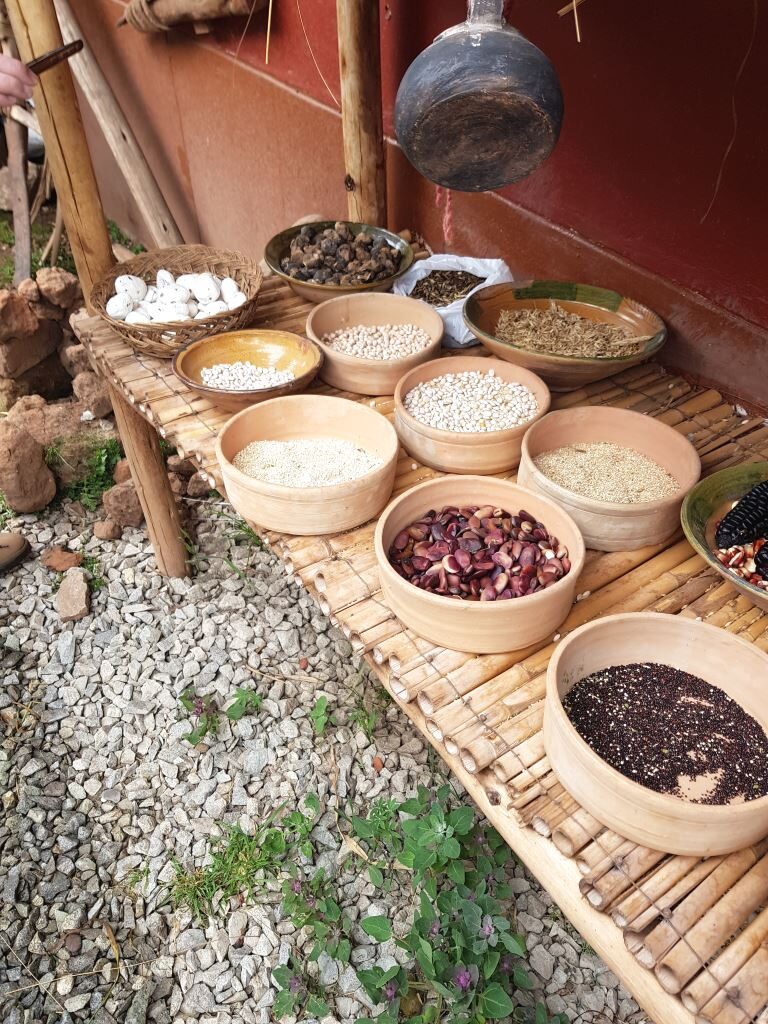 Peruanska kuchyně - Obilniny