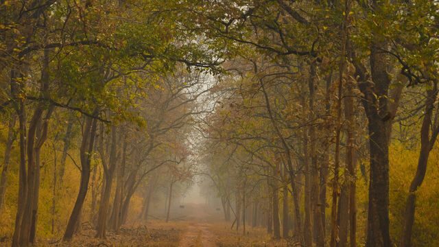 Nejkrásnější národní parky