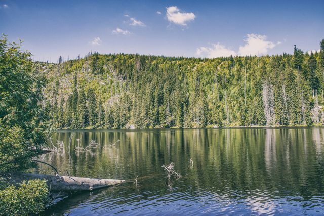 Kam na výlet na Šumavu