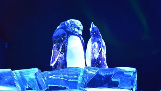 Festival ledových soch